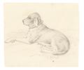 Carl Philipp Fohr - His Dog Grimsel Horse Studies on Verso - image-1