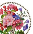 A Sèvres porcelain plate "pommier à fleurs doubles" - image-2