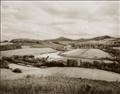 August Sander - Rhineland Landscapes - image-3