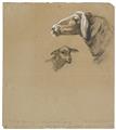 Franz Marc - Schafzeichnung I. Verso: Schaf und großes Schema eines Kuhkopfes - image-1