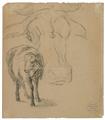 Franz Marc - Schafzeichnung I. Verso: Schaf und großes Schema eines Kuhkopfes - image-2
