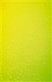 Reichensperger - HTA 0° bis 90° gelb-gelbgrün - image-1
