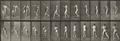 Eadweard Muybridge - Cricket, Overarm Bowling. Man in pelvis cloth throwing rock (pl. 290 and 319, from: Animal Locomotion) - image-1