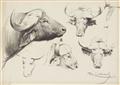 Two Studies of Bison Heads - image-2