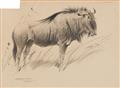 Study of a Bison Study of a Goat (Capra Falconeri) - image-1
