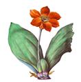 Teller mit botanischem Dekor - image-3