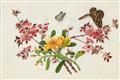Studio of Youqua . Canton. 19th century. - An album of twelve botanical paintings - image-5