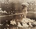 Joint Army Task Force One Photo - "Operation Crossroads" - Views of the Bikini Atoll nuclear Tests - image-11