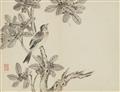 Jiang Tingxi - Leporello-Album mit zwölf Darstellungen von Blumen und Vögeln. Tusche und Farben auf Papier. Aufschrift, zyklisch datiert gengyin (1710), sign.: Nanshao di Jiang Tingxi und Sieg... - image-1
