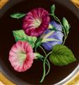 Seven Vienna porcelain dessert plates with botanical motifs - image-2