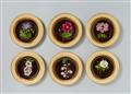 Six Vienna porcelain dinner plates with botanical motifs - image-1