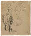 Franz Marc - Schafzeichnung I. Verso: Schaf und grosses Schema eines Kuhkopfes - image-2