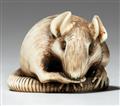 An ivory netsuke of a rat. Mid-19th century - image-1