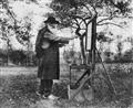 Camille Pissarro - Verger à Varengeville avec vache (Un clos à Varengeville) - image-3