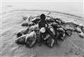 Robert Lebeck - Am Strand von Cayar, Senegal - image-1
