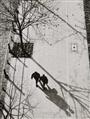 Otto Steinert - Die Bäume vor meinem Fenster II - image-2