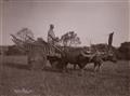 Adolphe Philip Klier - Ohne Titel (Ansichten von Burma) - image-7