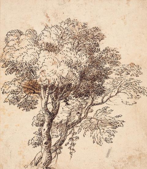 Claude Gellée, called Lorrain - TREE STUDY