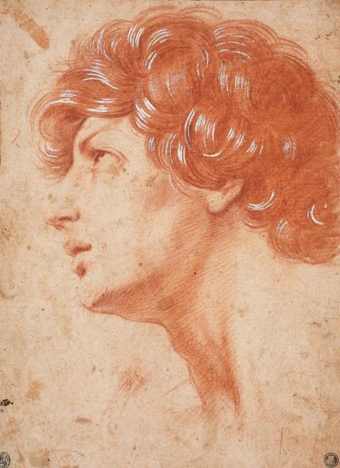  Central Italian School - HEAD OF A YOUNG MAN
