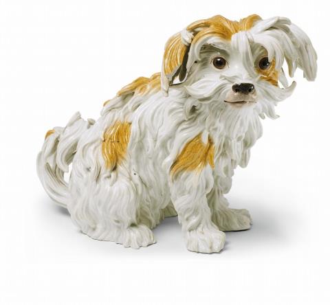 Johann Joachim Kaendler - A Meissen figure of a Bolognese dog.