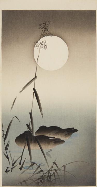 Shoson Ohara - Two otanzaku. a) Two grasshoppers on rice plants. Signed: Koson. Seal: Koson. Publisher: Nishinomiya Yosaku. b) Two ducks sleeping on water beneath a full moon. Signed: Koson. S...