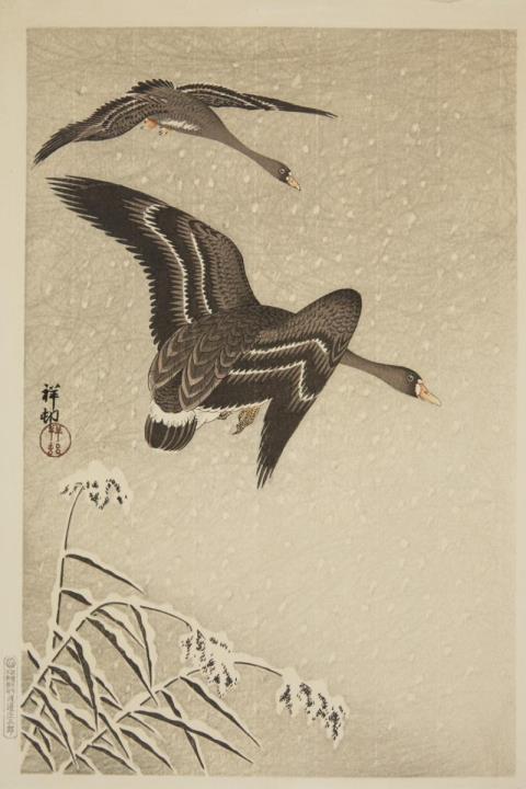 Shoson Ohara - Oban. Geese flying over snow-covered reeds. Signed: Shoson. Seal: Shoson. Publisher: Watanabe Shozaburo. 1931-1941. Stamped on verso: Made in Japan.