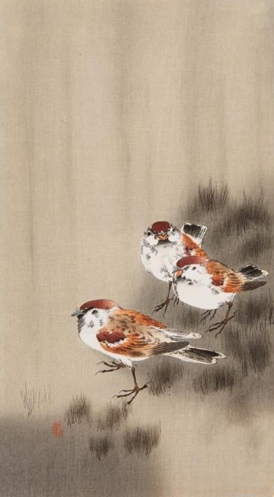Shoson Ohara - Otanzaku. Three male sparrows. Seal: Koson. Published by Daikokuya around 1910.