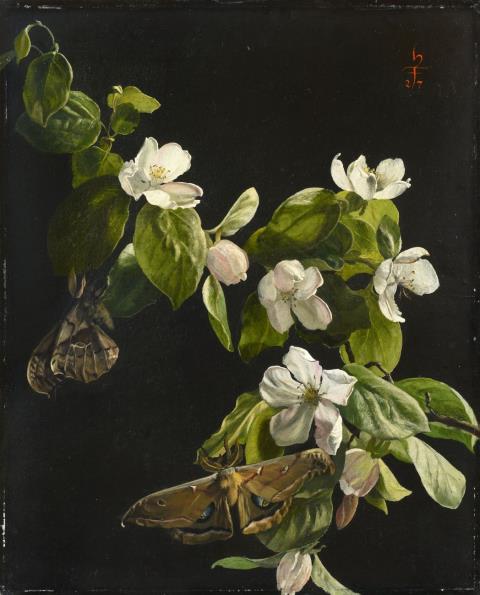Hans Frank - Quince Flowers and Butterflies