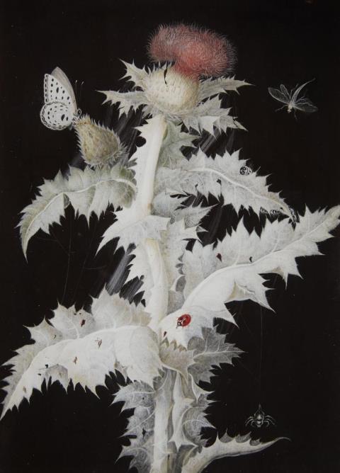 Barbara Regina Diezsch - Distelzweig (Dandelium) mit Schmetterling, Libelle, Marienkäfer und Spinne