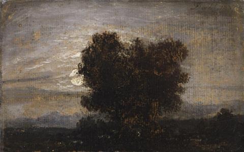 Johan Christian Clausen Dahl - Bäume im Mondschein