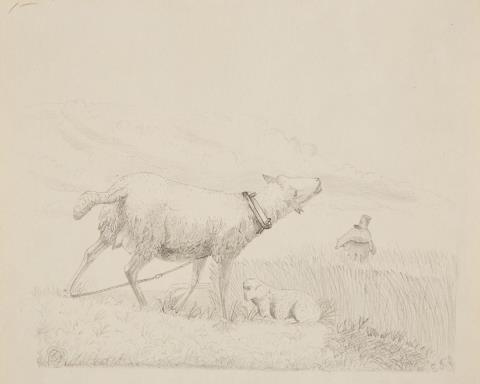 Ernst Fries - A Mother Sheep and Lamb