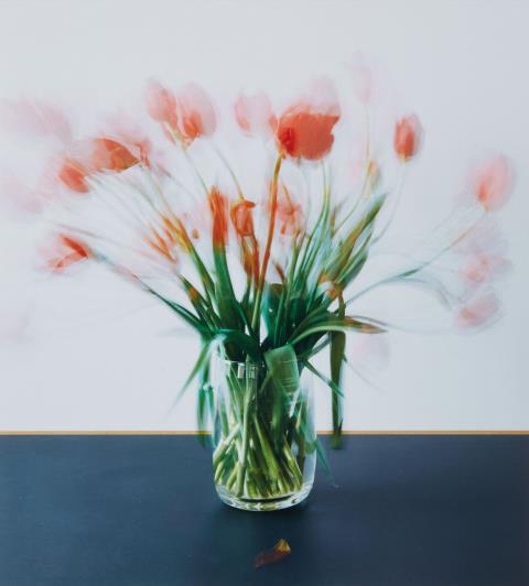 Michael Wesely - 10.2. - 20.20.2007