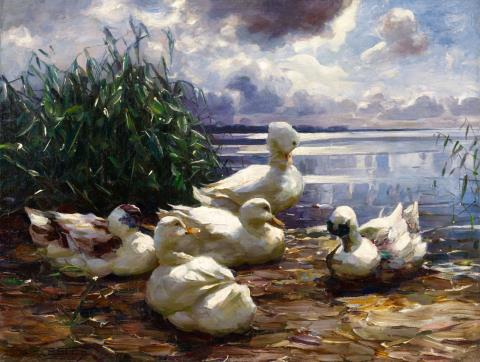 Alexander Koester - Ducks at the Shore