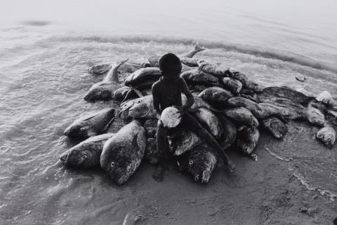 Robert Lebeck - Der Strand von Cayar, Senegal