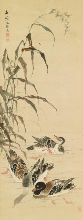 Quan Shen - In the manner of Shen Quan depicting mandarin ducks swimming underneath blossoming reeds. Ink and light colours on paper. Inscribed Nanpin Shen Quan and sealed Wuxing Shen Quan ...