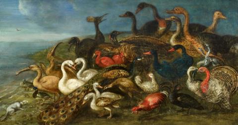 Flemish School, 17th century - Ducks, Geese, a Peacock, and Other Birds by the Seashore