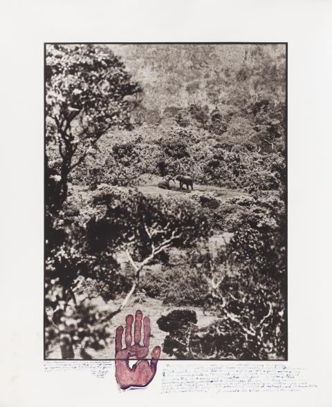 Peter Beard - Elephant tussle in the Aberdare Forest (from the series: The End of the Game/Last Word from Paradise)