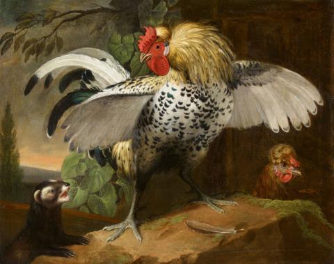 Jakob Samuel Beck - Kampf zwischen einem Hahn und einem Iltis