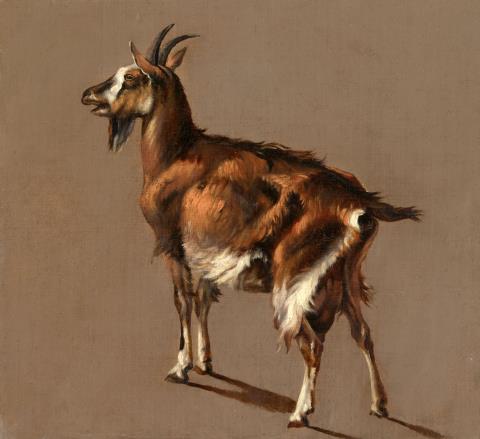 Jacob Philipp Hackert - Study of a Goat