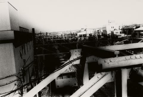 Daido Moriyama - Untitled (from the series: Memory of Dog/A Following Story/Landscape)