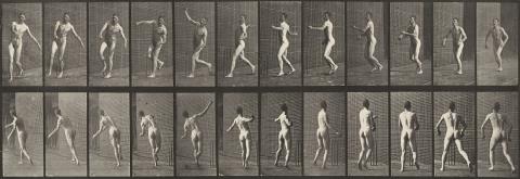 Eadweard Muybridge - Cricket, Overarm Bowling. Man in pelvis cloth throwing rock (Tafeln 290 und 319, aus: Animal Locomotion)
