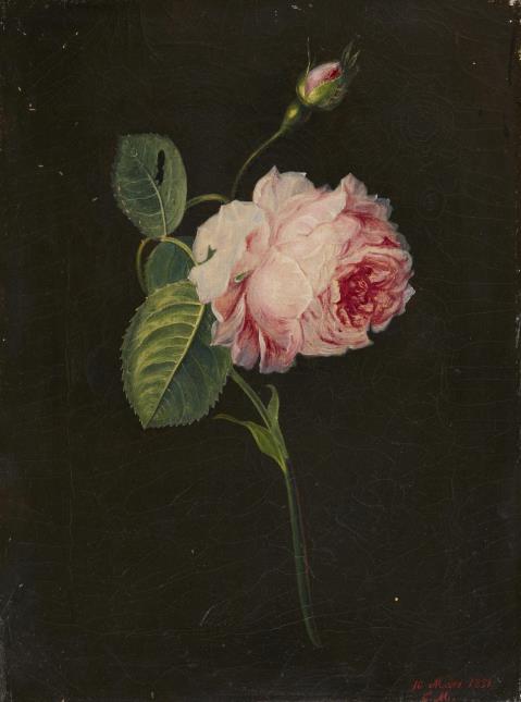 Eduard Magnus - A Rose Branch