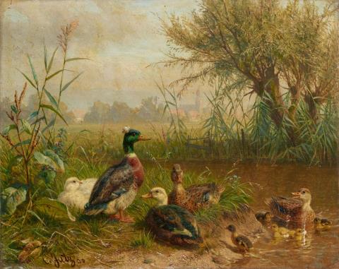 Carl Jutz the Elder - Birds by a Pond