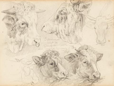Heinrich von Zügel - Studies of a Bull's Head