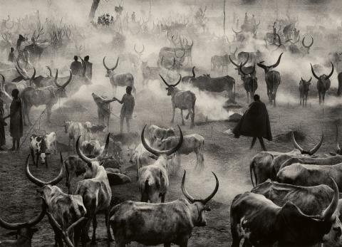 Sebastião Salgado - Dinka Cattle Camp of Amak, Southern Sudan