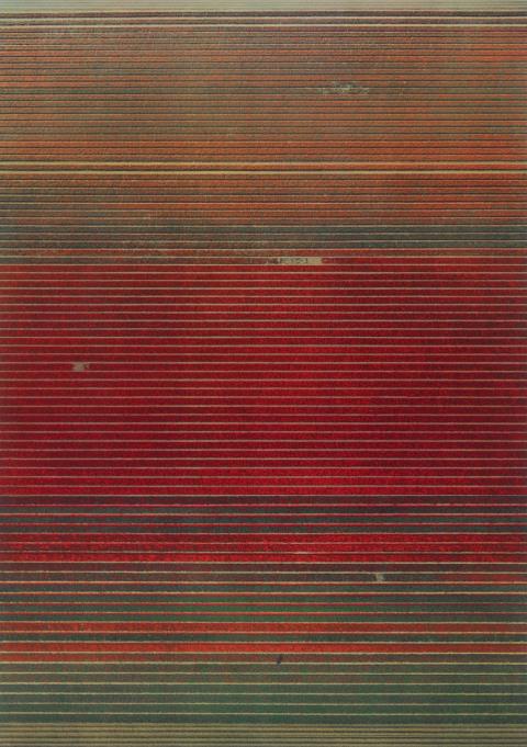 Andreas Gursky - Untitled XVIII