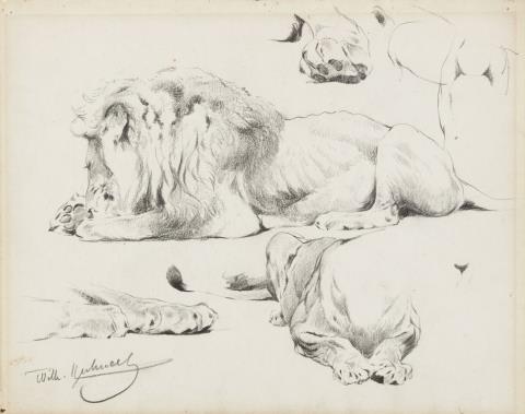 Wilhelm Kuhnert - Two Studies of Recumbent Lions