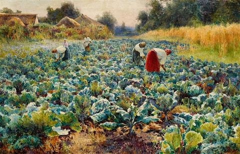 Mikhail Andreevich Berkos - The Cabbage Harvest