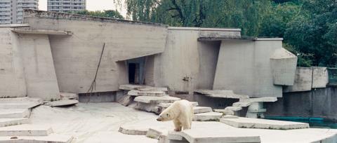 Candida Höfer - Zoo Köln I