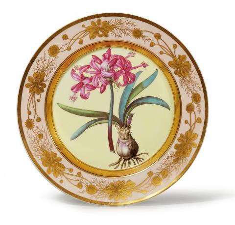 Pierre Joseph Redouté - A Berlin KPM botanical porcelain plate "amaryllis farniensis"